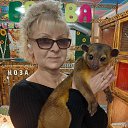 ���� ������, ������ �����, 55 ��� - ��������� 3 ������ 2026