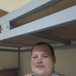 ������, 33 ����, �����������