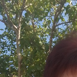 �������, ������������, 57 ���