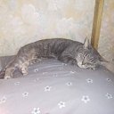 ���� �������, ������ - ��������� 13 ������ 2025 � ������ ������ ��������