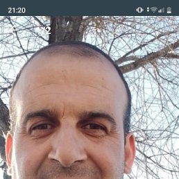 ����, 60 ���, �������