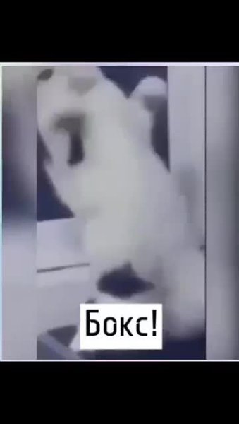 ������ ���� �������� � ���� ���� - 2