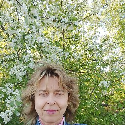 , 53, 