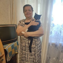 , 65, 