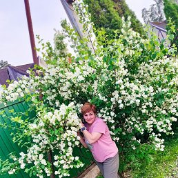 , 50, 