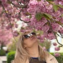 ���� �����, �����������, 55 ��� - ��������� 15 ������ 2026 � ������ ���� ����������
