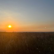 �������, 32 ����, �������