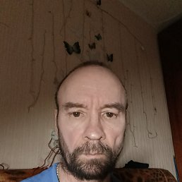 ����, 48 ���, �����