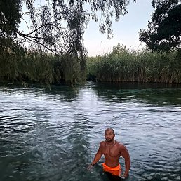 ���� Adam, ������, 31 ��� - ��������� 24 ���� 2026
