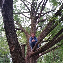 ���� �����, ������, 41 ��� - ��������� 29 ������ 2024