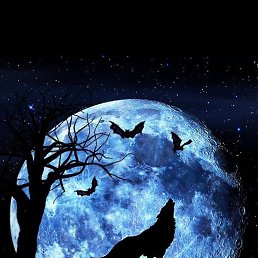 Haji, ����, 38 ���