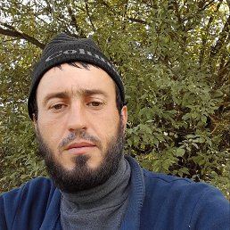 , 32, 