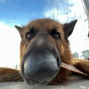 ���� �������, ������������ - ��������� 11 �������� 2025 � ������ ���� ����������