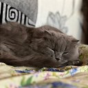 ���� �� ������� ���� ����������