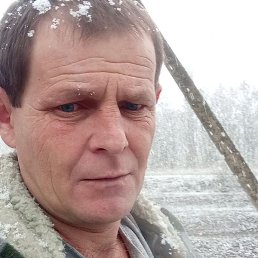 ������, ���������, 40 ���