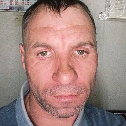 ������, ����, 40 ���