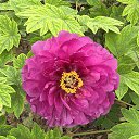 ���� ������, �����, 71 ��� - ��������� 27 ������ 2025 � ������ ���� ����������