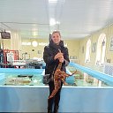  , -, 46  -  29  2025    