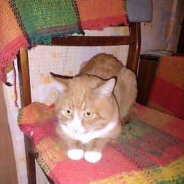 ���� ���������, �����, 37 ��� - ��������� 5 ������ 2023