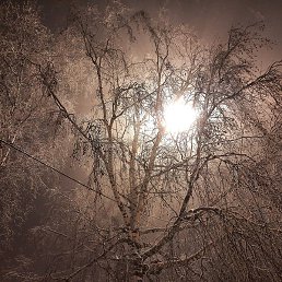 ������, ������, 36 ���