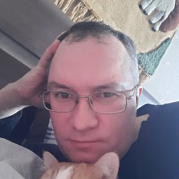 �������, 48 ���, ������