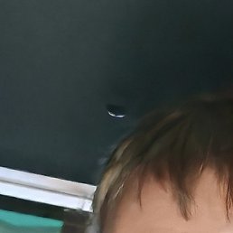 �������, ������������, 40 ���