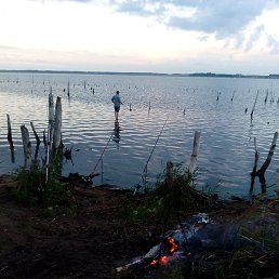 �������, ������ ��������, 43 ����