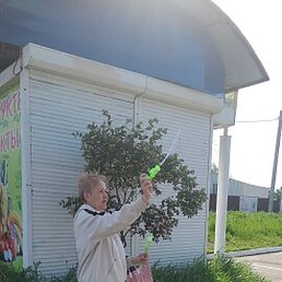 �����, �����, 54 ����