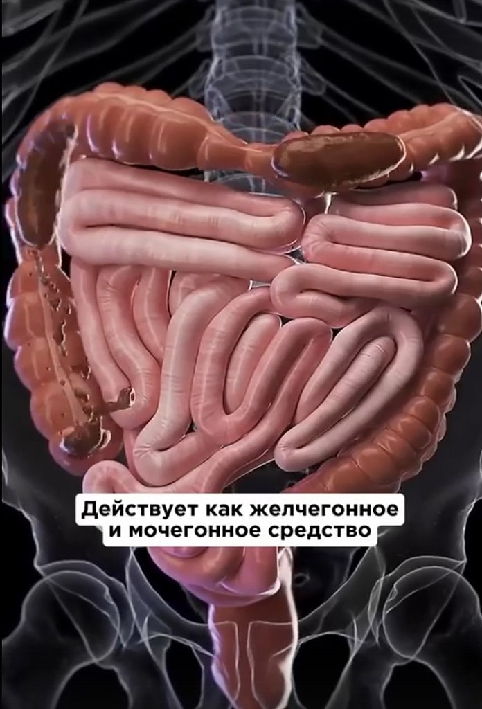     ,     ... - 2
