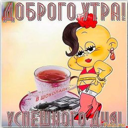 ����, �������, 40 ���