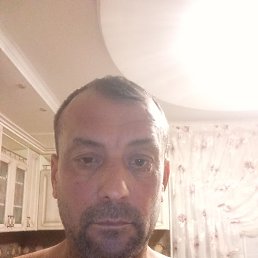 , 51 , 