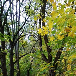 ���� �����, �����-���������, 67 ��� - ��������� 3 �������� 2025