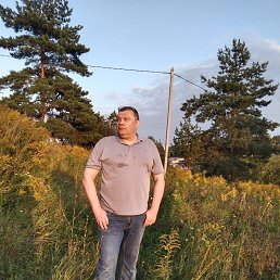 ���� ��������, ����, 49 ��� - ��������� 29 ����� 2026