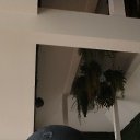 ���� ����, ������, 41 ��� - ��������� 15 ��� 2026 � ������ ���� ����������