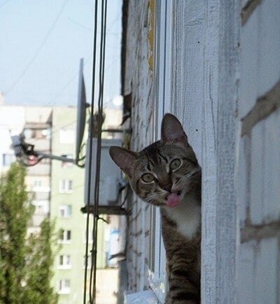 ��� ���� � ����� �� �� - 16 ���� 2025 � 11:12 - 3