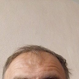  , , 44 