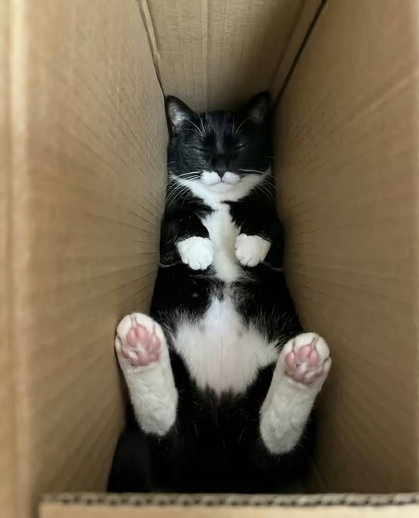 ������� ����������� �� ��������������� ������ - 3