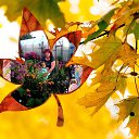 ���� ����, �����������, 75 ��� - ��������� 28 ������� 2023 � ������ ������ ��������