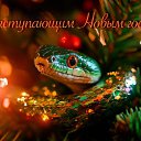 ���� �����, ������ - ��������� 29 ������� 2024 � ������ ������ ��������