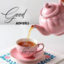 ���� Randar, ������� - ��������� 15 ������� 2026 � ������ ������ ��������
