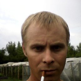 , 42, 