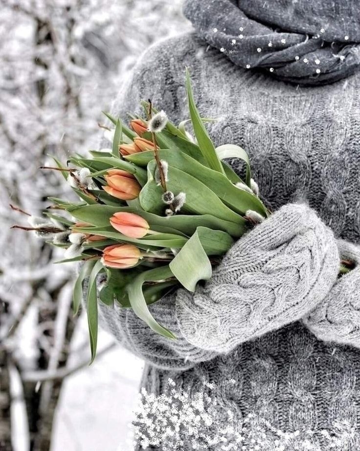 �����, ������� ���� ������� �������: 
