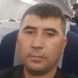 ����, ������, 42 ����