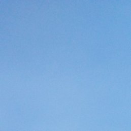 ��������, ������, 66 ���