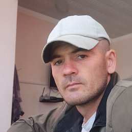 ������, �������, 33 ����