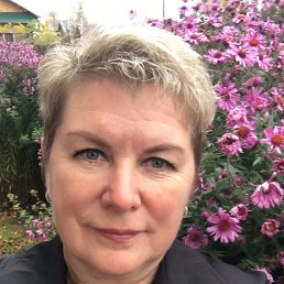 , 53, 