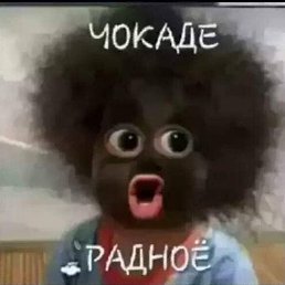 ���� ������, ������, 26 ��� - ��������� 16 ������ 2024