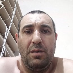 �����, ���������, 43 ����