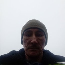 ���������, 37 ���, ����������