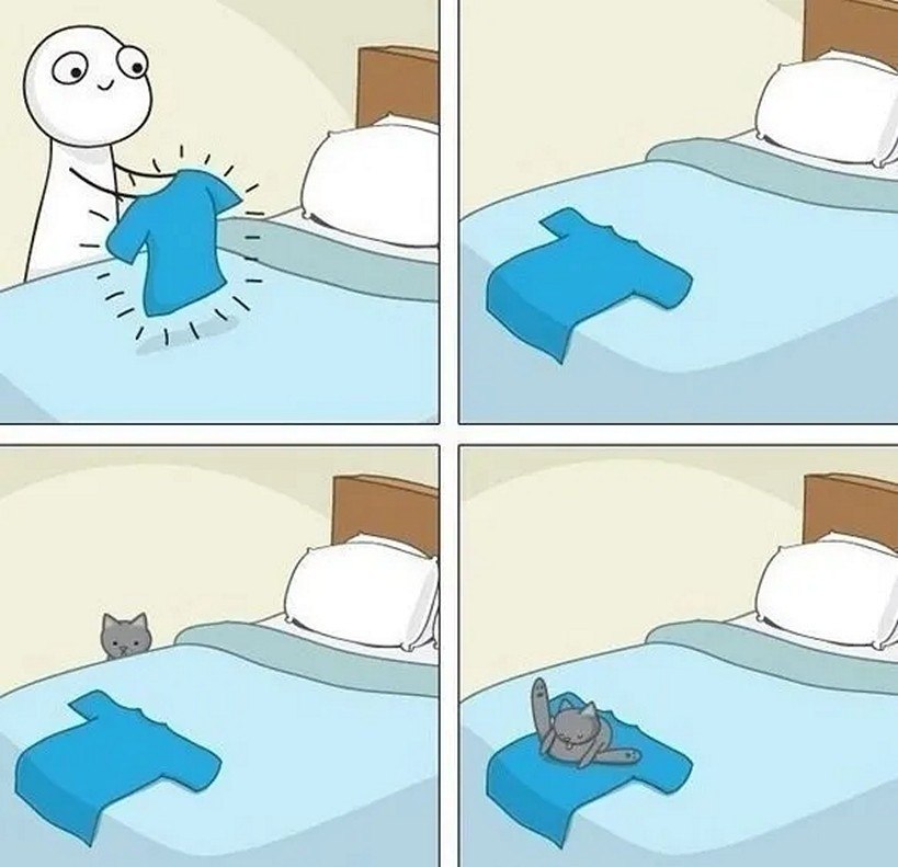 ☆ ☆ - 6  2025  16:20